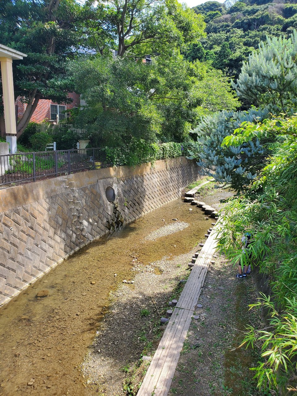 前田川遊歩道の入口付近２