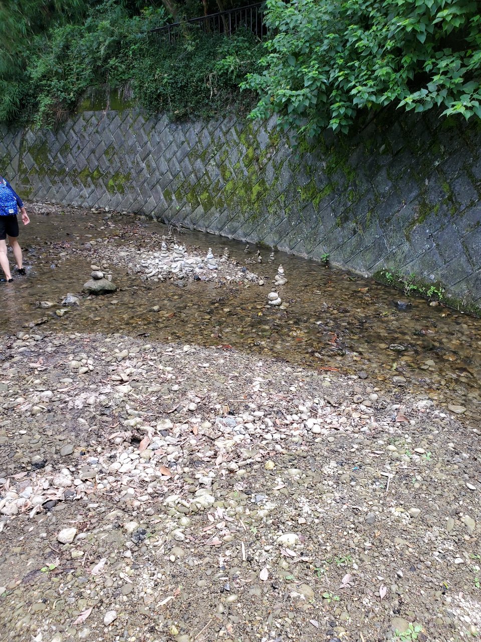 前田川遊歩道の途中