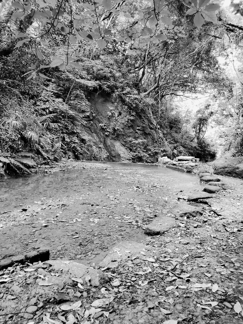 前田川遊歩道の水遊び場所のモノクロ写真