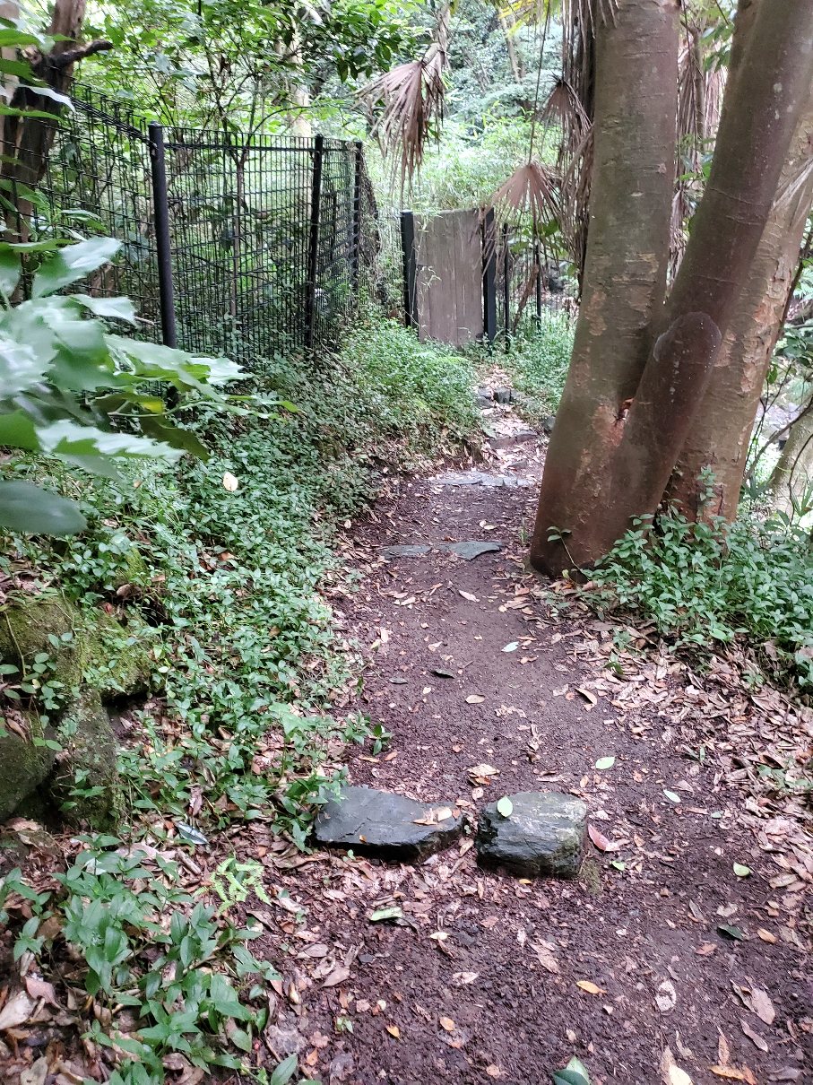 前田川遊歩道のトイレへの道