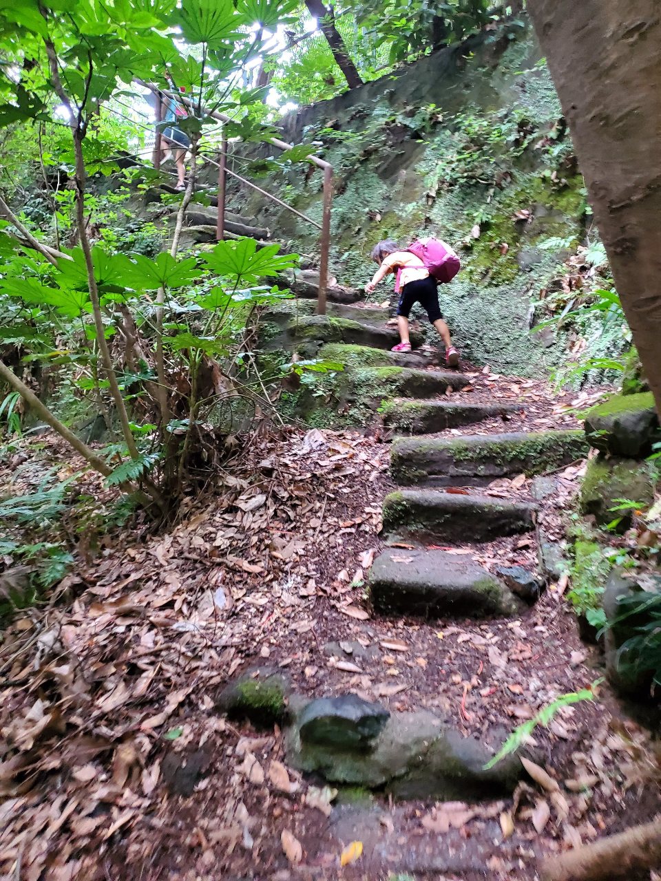 前田川遊歩道のトイレへの道のり