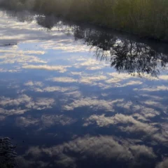 子供とのんびり半日遊べるシリーズ第１弾 前田川遊歩道