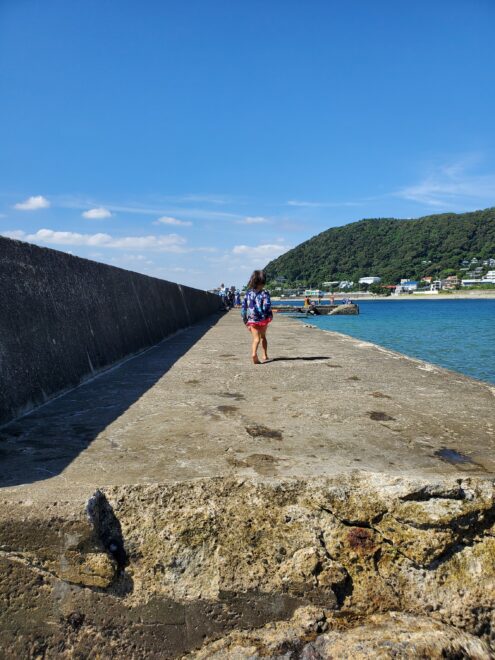 小磯の鼻 堤防の上