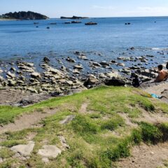 【秋には是非】子供とのんびり1日遊べるシリーズ第3弾　葉山公園で磯遊び＆SUP