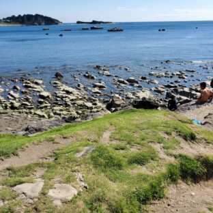 【秋には是非】子供とのんびり1日遊べるシリーズ第3弾　葉山公園で磯遊び＆SUP