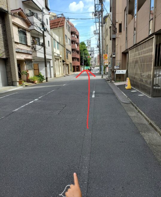 しばらく直進すると、左側に大きな木が生えているのがわんぱく天国です