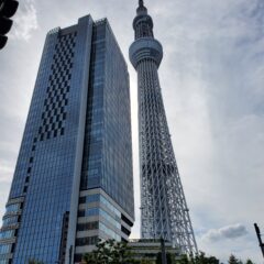 子供とのんびり半日遊べるシリーズ第3弾わんぱく天国【東京スカイツリー周辺】