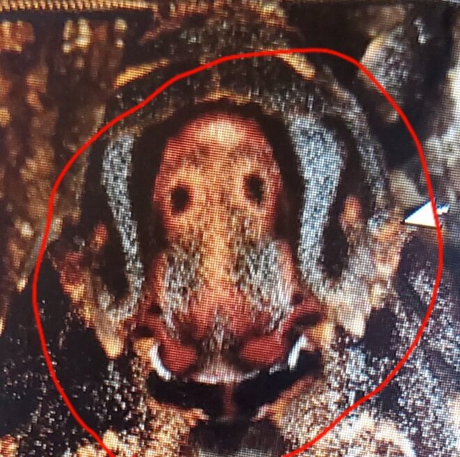 クロメンガタスズメの成虫の模様アップ