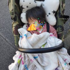 ベビーカーの揺れ　揺さぶられ症候群が不安ですが…