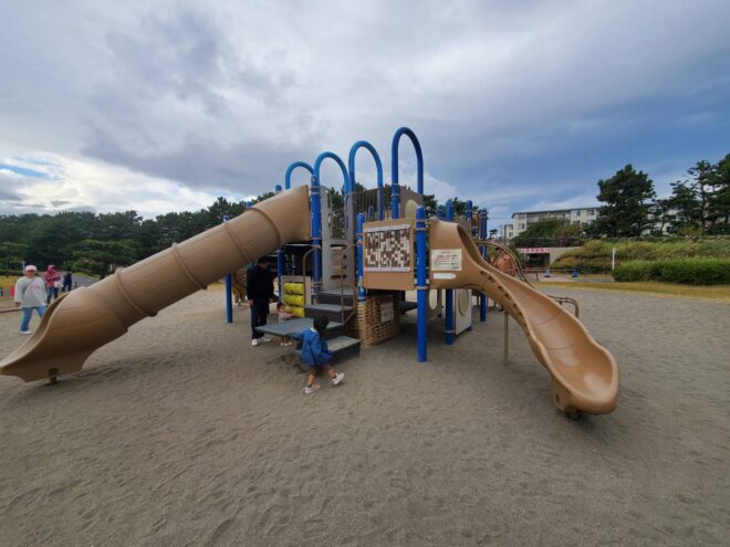 ダブル滑り台の遊具