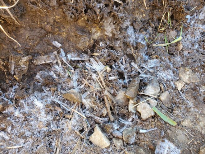 高ボッチ高原の霜