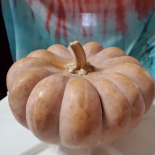 上手く野菜の常温保管を生活に取り入れ、元気な野菜を食べよう！