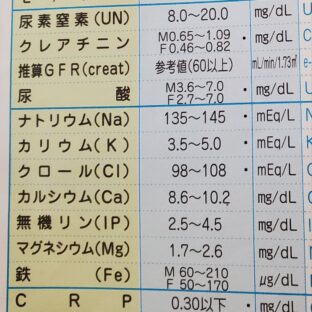 リモートワークのパパ　痛風増えている！！なる前にチェックしよう！！