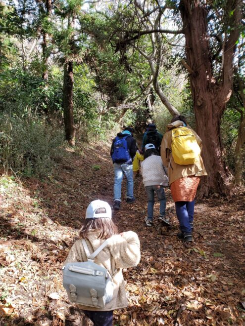 仙元山ハイキングコース2