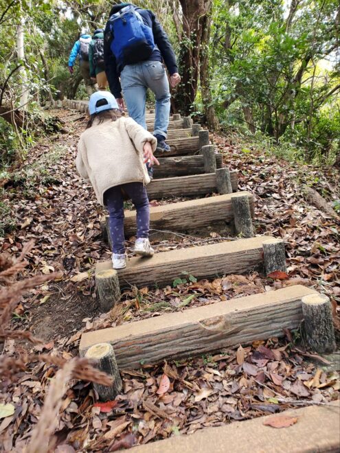 仙元山ハイキングコース3