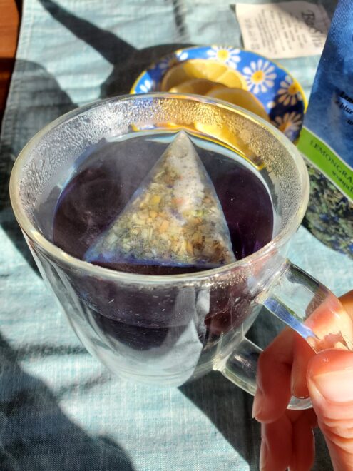 お湯を入れただけのレモングラス　バタフライティ１