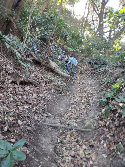 かなり急です！