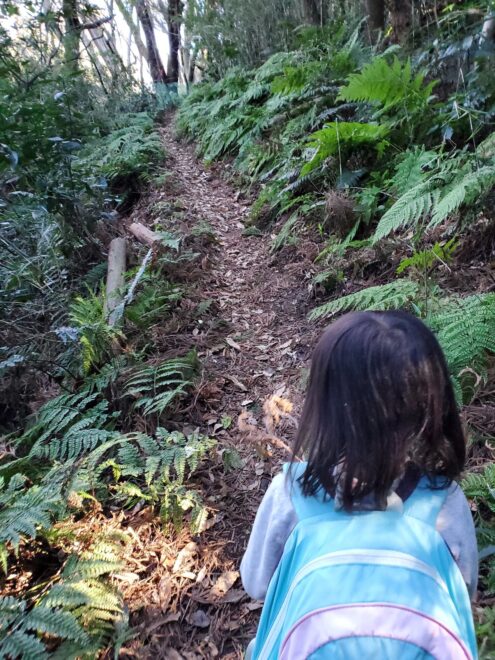 急な坂を上りきると平坦な道も出てきます