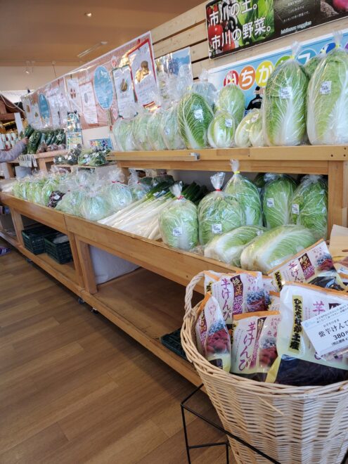 いちかわ産　白菜