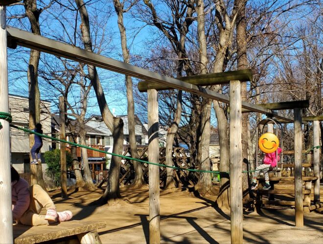 自力で進むロープウェイ