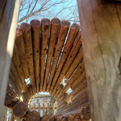 子供と　道の駅いちかわ　＆　小塚山フィールドアスレチック（無料）行ってみました！