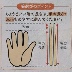 お箸はいつからスタートするもの？